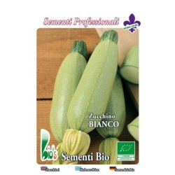calabacin blanco de trieste - semillas ecologicas