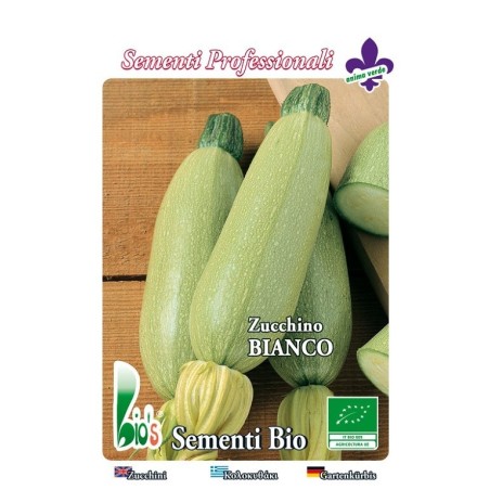 calabacin blanco de trieste - semillas ecologicas
