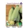 calabacin blanco de trieste - semillas ecologicas