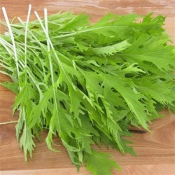 col china mizuna- semillas no tratadas