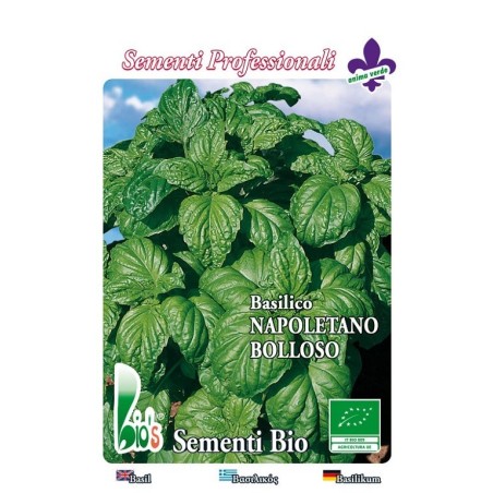 albahaca hoja de lechuga - semillas ecologicas