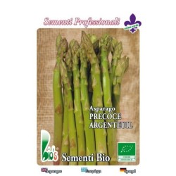 esparrago argenteuil- semillas ecologicas