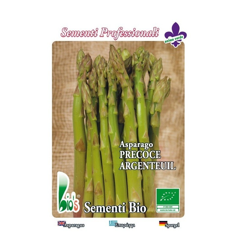 esparrago argenteuil- semillas ecologicas