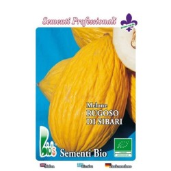 melon amarillo rugoso napolitano (semillas ecologicas)