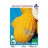 melon amarillo rugoso napolitano (semillas ecologicas)