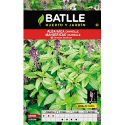 albahaca canela