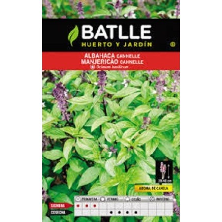 albahaca canela