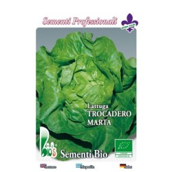 lechuga trocadero invernal - semillas ecologicas