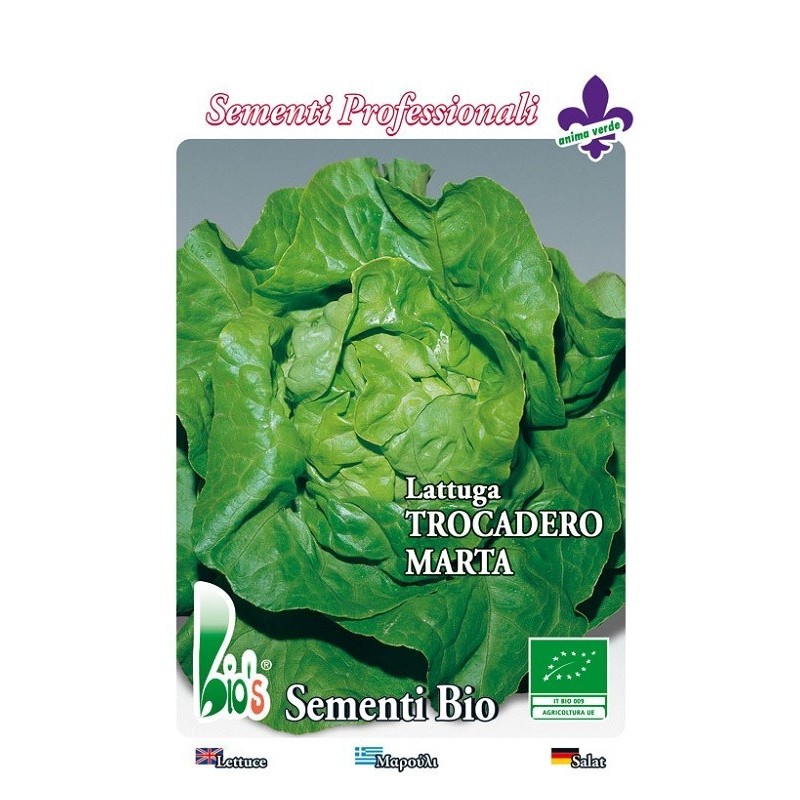 lechuga trocadero invernal - semillas ecologicas