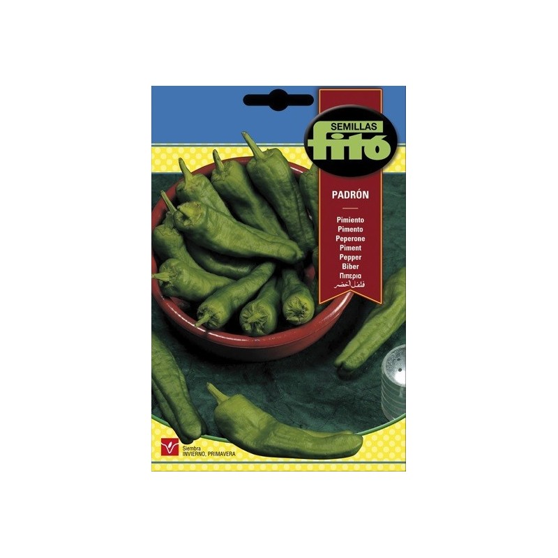 pimiento de Padron