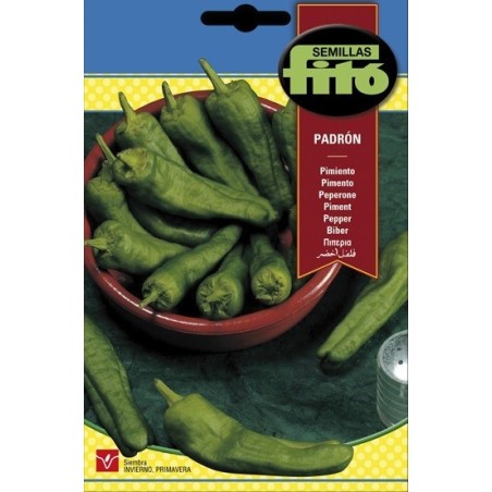 pimiento de Padron