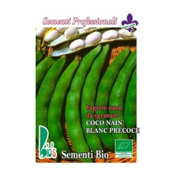 judia coco bianco mata baja (semillas ecologicas)