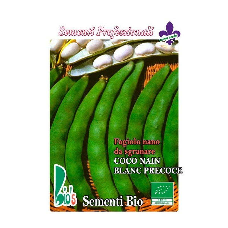 judia coco bianco mata baja (semillas ecologicas)