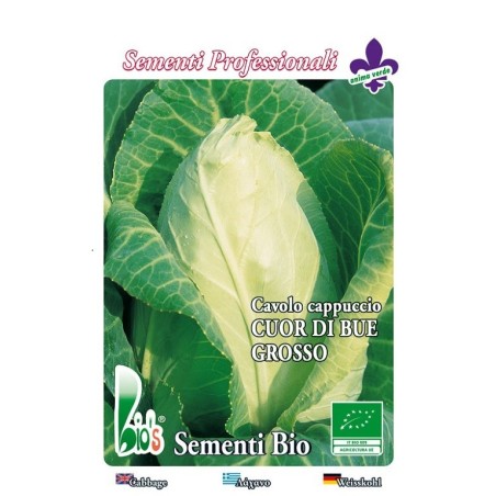 repollo corazon de buey - semillas ecologicas