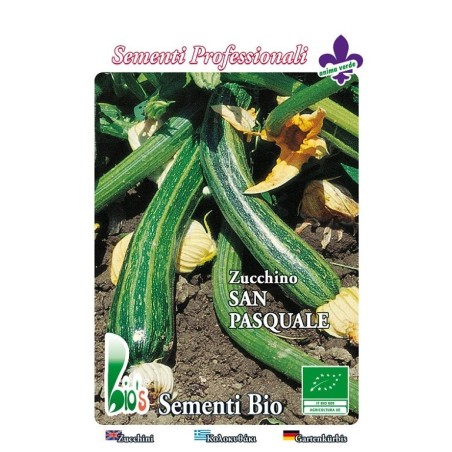 calabacin San Pasquale - semillas ecologicas