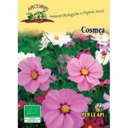 cosmos (semillas ecologicas)