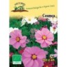 cosmos (semillas ecologicas)