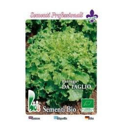 lechuga salad bolw - semillas ecologicas