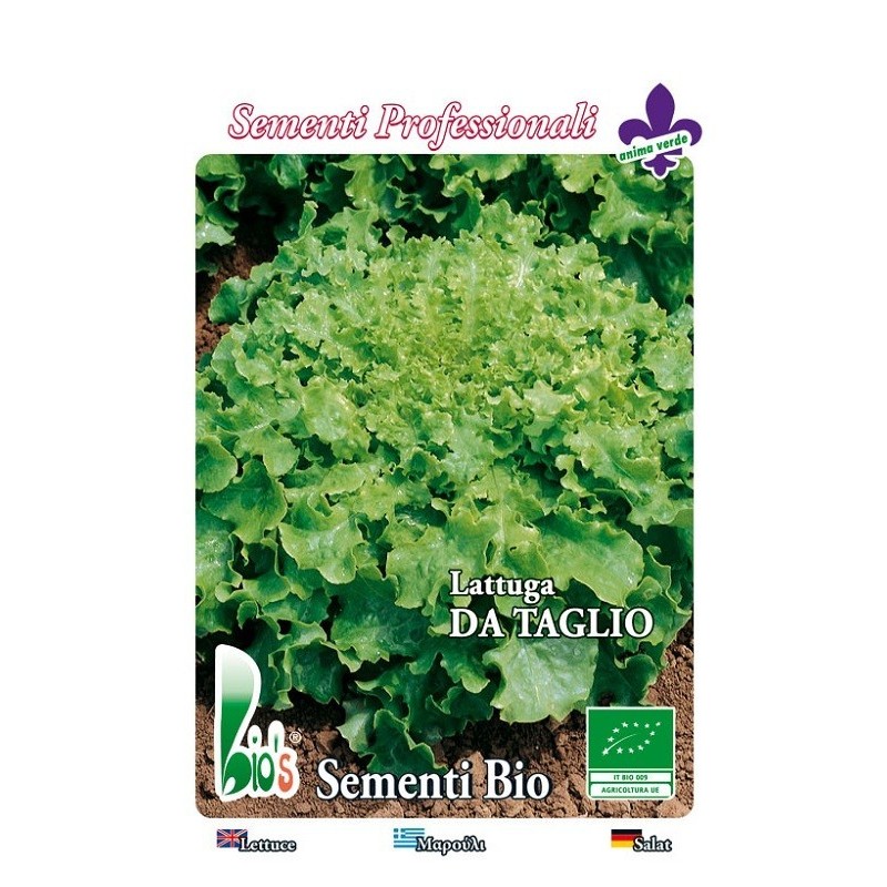 lechuga salad bolw - semillas ecologicas