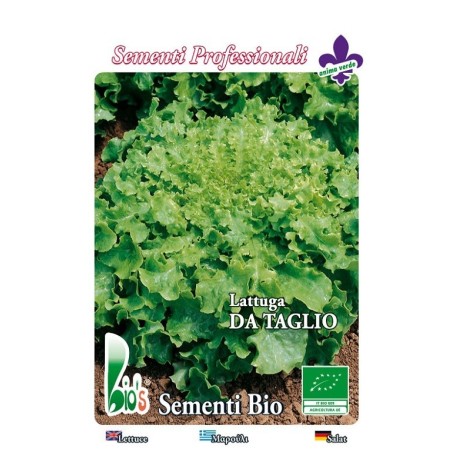 lechuga salad bolw - semillas ecologicas