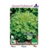 lechuga salad bolw - semillas ecologicas