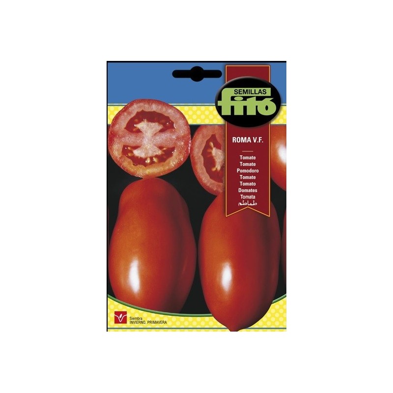 tomate roma VF