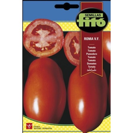 tomate roma VF