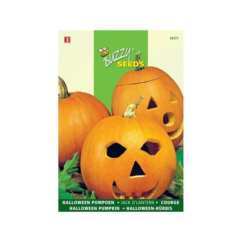 calabaza halloween Jack oÂ´lantern