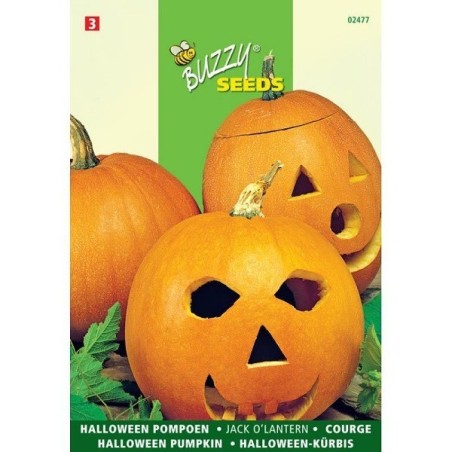 calabaza halloween Jack oÂ´lantern