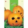 calabaza halloween Jack oÂ´lantern