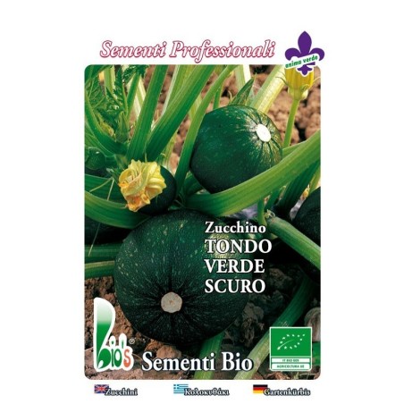 calabacin redondo de Piacenza - semillas ecologicas