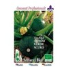 calabacin redondo de Piacenza - semillas ecologicas