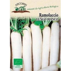 Mino early Daikon - semillas ecologicas