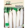 Mino early Daikon - semillas ecologicas