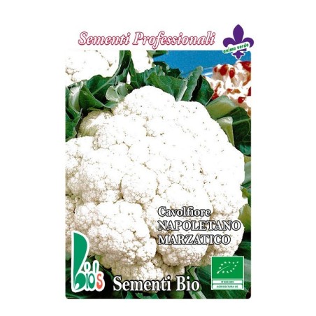 coliflor tardÃ­a de Fano - semillas ecologicas