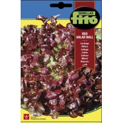 lechuga hoja de roble (red salad bowl)