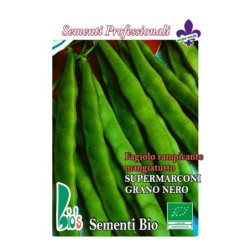 judia marconi grano negro enrame - semillas ecologicas