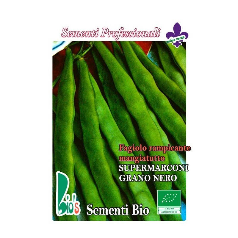 judia marconi grano negro enrame - semillas ecologicas