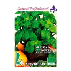 melisa (melissa officinalis) - semillas ecologicas