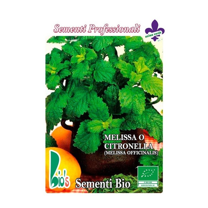 melisa (melissa officinalis) - semillas ecologicas