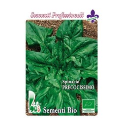 espinaca monstruosa de viroflay - semillas ecologicas