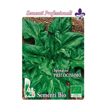 espinaca monstruosa de viroflay - semillas ecologicas