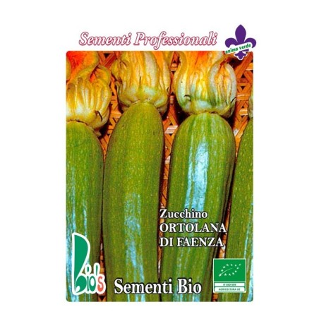 calabacin ortolana di Faenza - semillas ecologicas