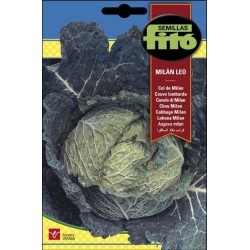 repollo rizado - col MilÃn Leo