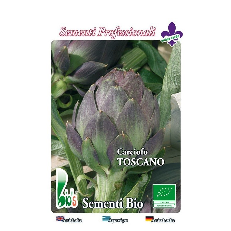 alcachofa de la Toscana - semillas ecologicas