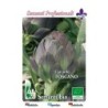 alcachofa de la Toscana - semillas ecologicas