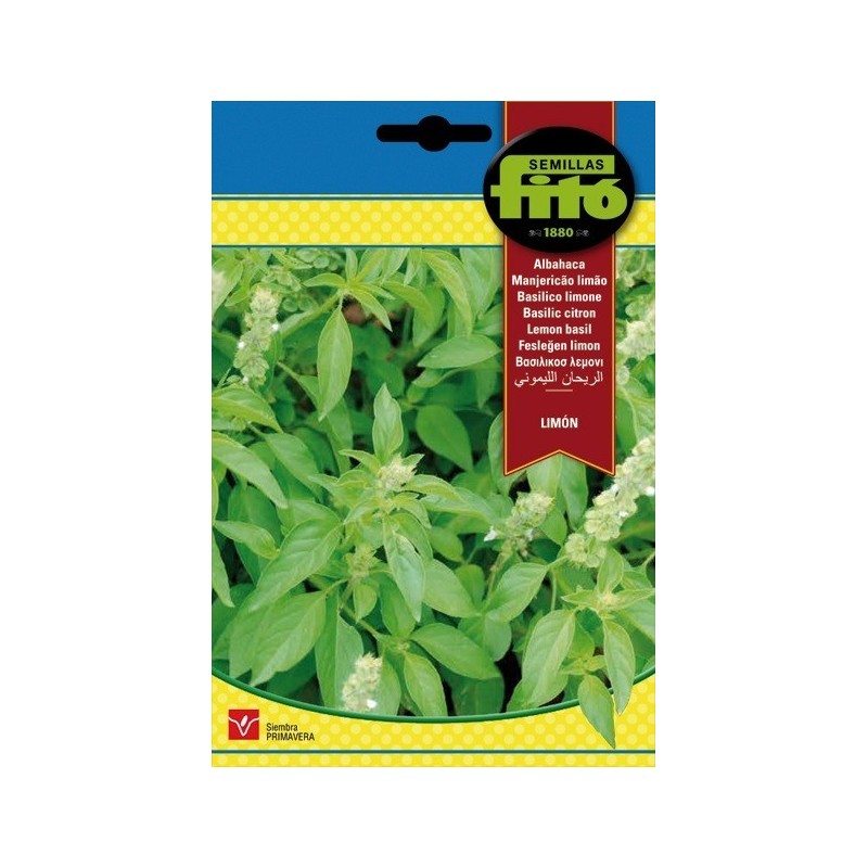 albahaca limon