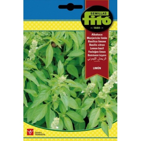 albahaca limon