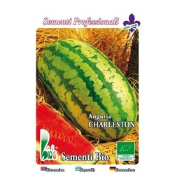 sandia Charleston gray - semillas ecologicas