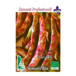 judia borlotto TaylorÂ´s - semillas ecologicas